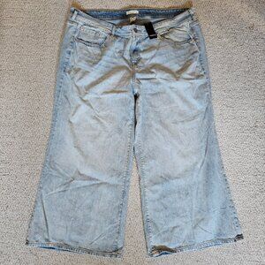Torrid Festi Baggy Low-Rise Wide Leg Jeans Size 22 Short 22 Petite NEW